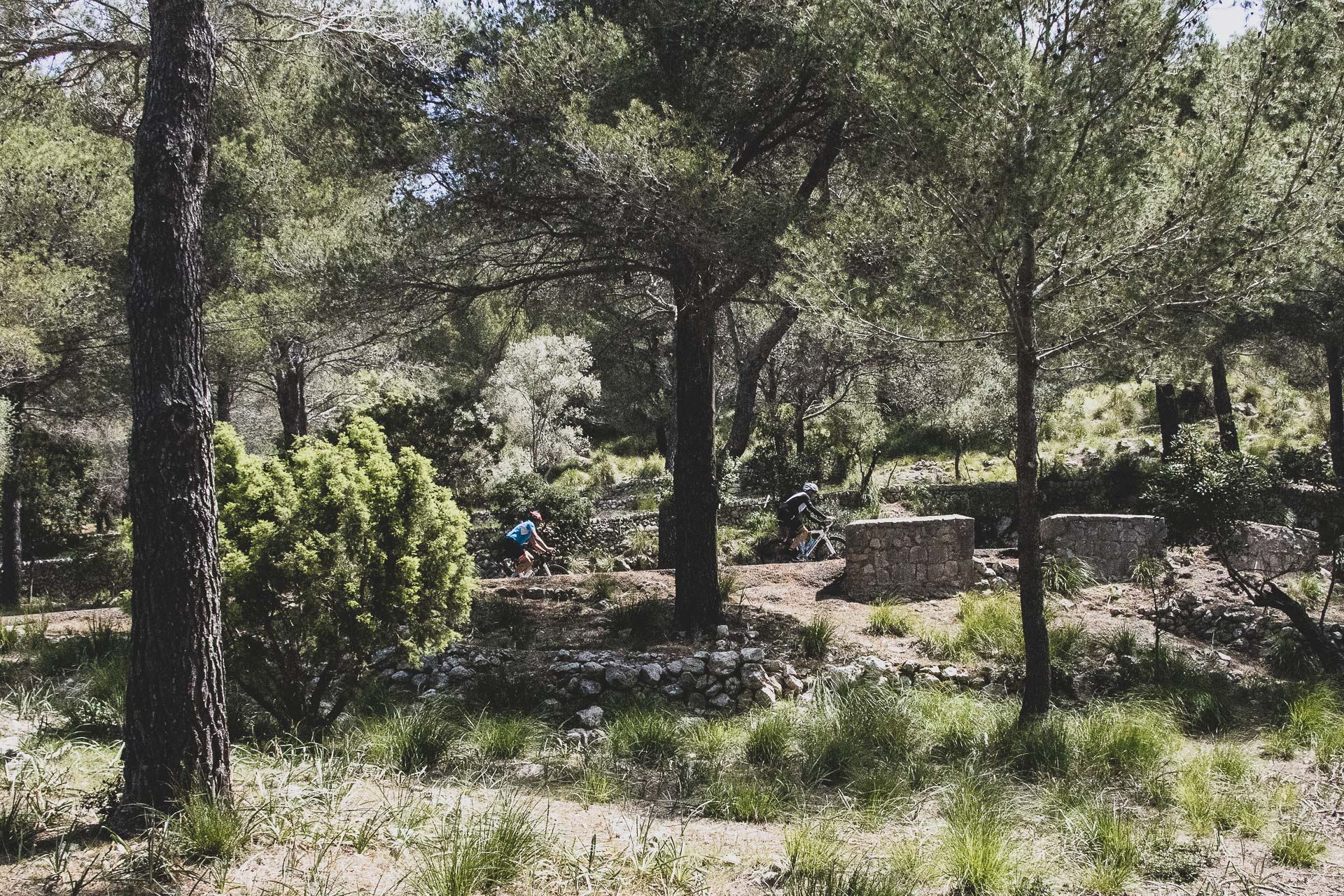 Egal, Malle ist nur einmal im Jahr… (?)